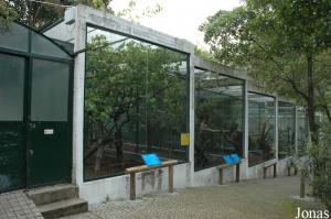 Row of five glass-fronted aviaries for hornbills and pheasants