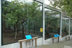 Glass-fronted aviaries for hornbills and pheasants
