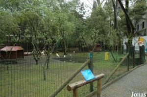 Enclosure for flamingos