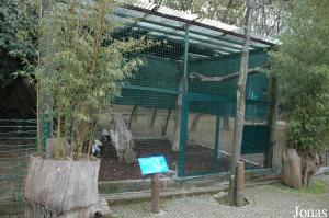 Aviary of the king vultures