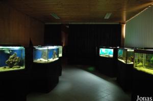 One of the rooms inside the "Arca de Noé" with tanks for fish and amphibians