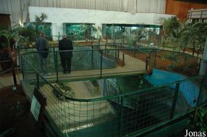 One of the pits for crocodiles