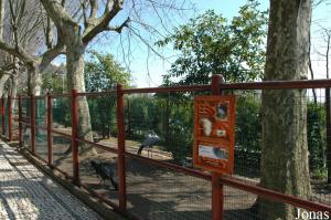 Enclosure of the blue cranes and some curassows