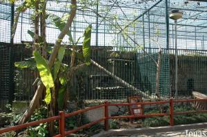 Cages of the black and spotted leopards