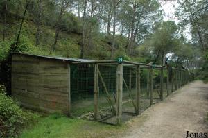Aviaries for pheasants and different kinds of birds