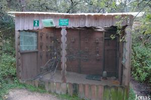 Aviary for budgerigars
