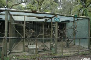 Cages for vervet and rhesus monkeys