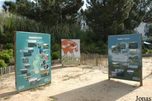 Signs for the EAZA Madagascar Campaign
