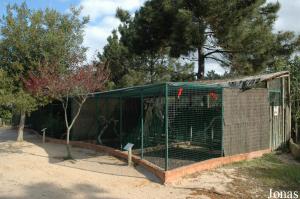 Aviaries for parrots