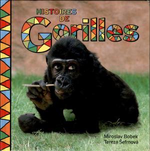 <strong>Histoires de Gorilles</strong>, Miroslav Bobek & Tereza Sefrnova, Radio tchèque, 2008