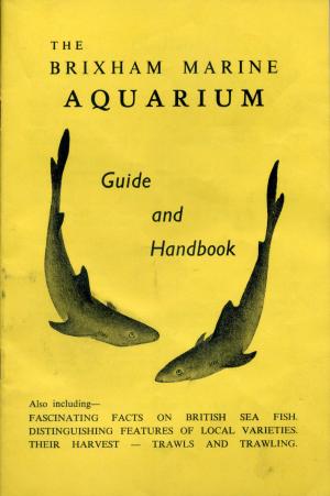 Guide env. 1967
