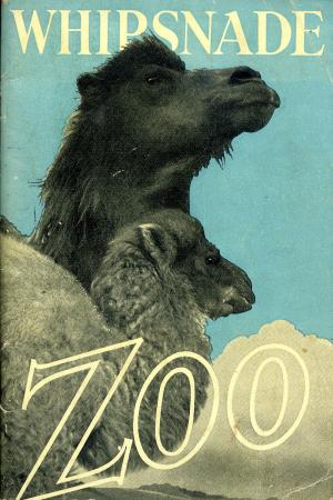 Guide 1940 - 4th edition (reprint)