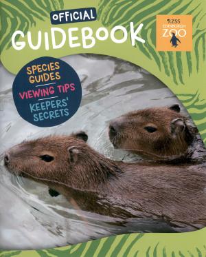 Guide 2025