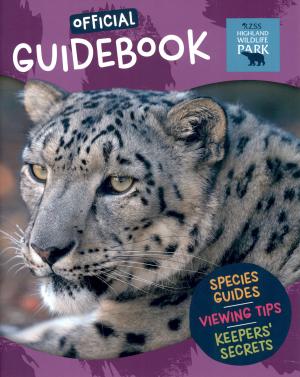 Guide 2025