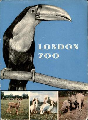 <strong>London Zoo</strong>, Erich Tylinek, Spring Books, London