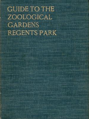 Guide 1913 - 11th Edition