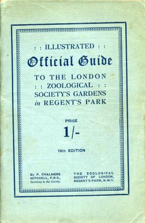 Guide 1921 - 19th Edition