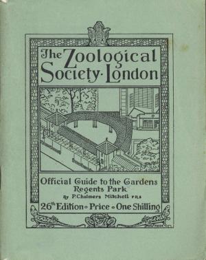 Guide 1929 - 26th Edition