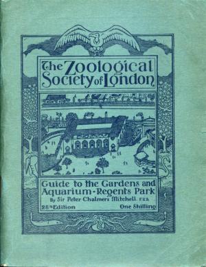 Guide 1931 - 28th Edition