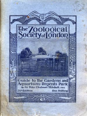 Guide 1933 - 30th Edition