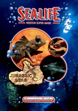 Guide 1997