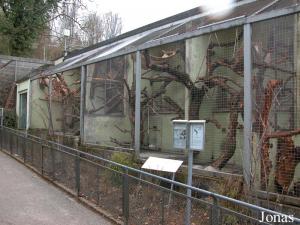 Cages extérieures du pavillon des primates