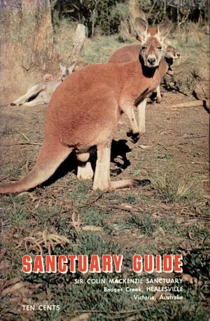 Guide 1968 - 16th issue