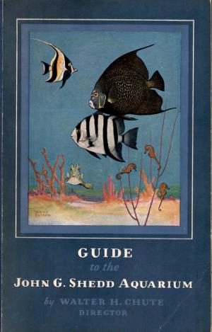 Guide 1940 - 3rd edition